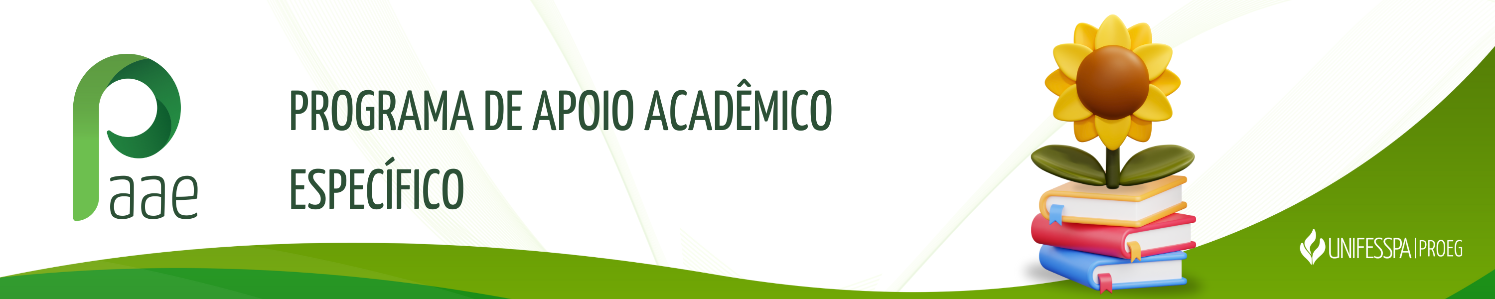 PAAE banner.png