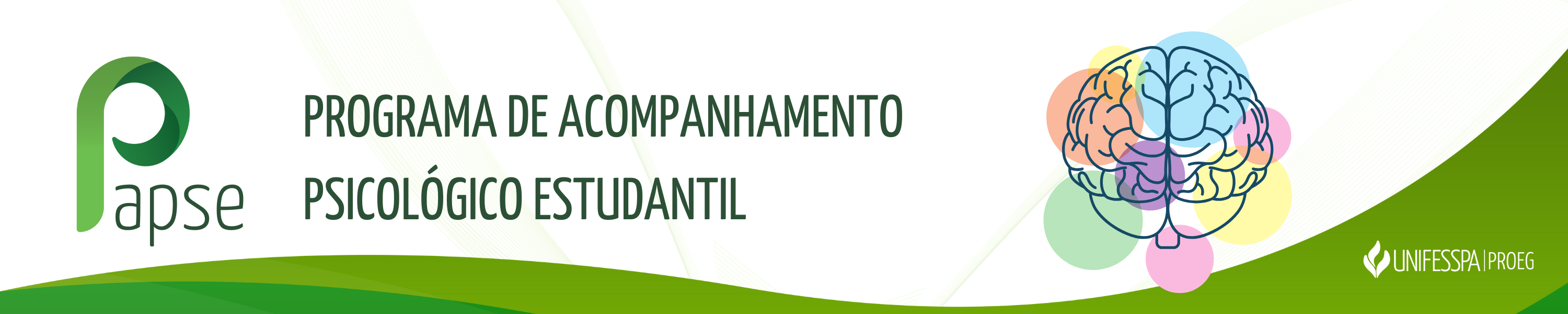 PAPSE banner.png